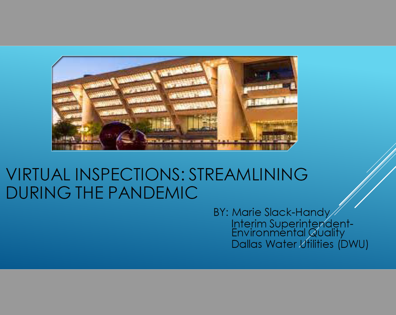 Virtual Inspections - Streamlining During the Pandemic